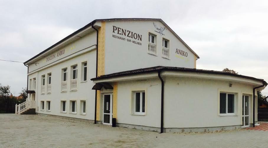 Horne Saliby Penzion Aniko Gold *** מראה חיצוני תמונה